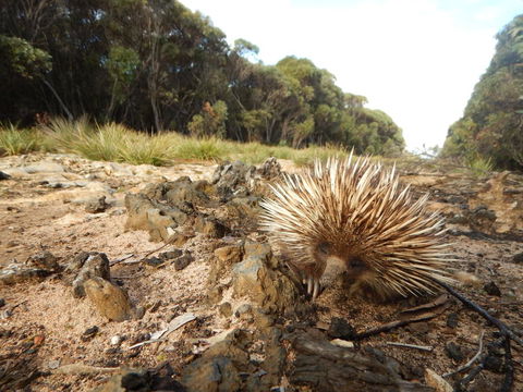 Kangaroo Island Wilderness Retreat - Accommodation NT 20