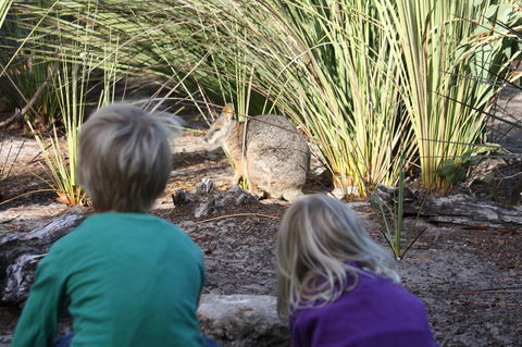 Kangaroo Island Wilderness Retreat - Accommodation NT 30