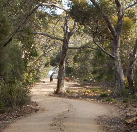 Kangaroo Island Wilderness Retreat - Accommodation NT 22