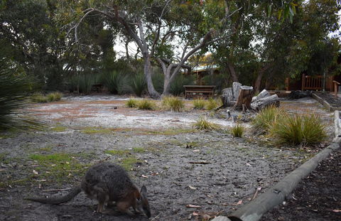 Kangaroo Island Wilderness Retreat - Accommodation NT 1