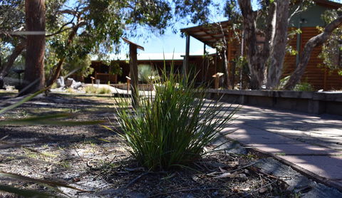 Kangaroo Island Wilderness Retreat - Accommodation NT 21