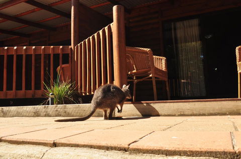 Kangaroo Island Wilderness Retreat - Accommodation NT 9