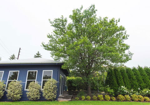 S T U D I O 22 Peaceful Retreat With Garden Views - Accommodation NT 11