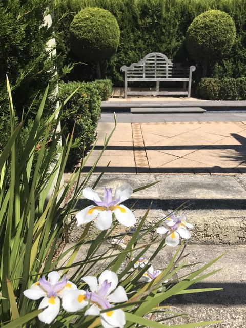 S T U D I O 22 Peaceful Retreat With Garden Views - Accommodation NT 13