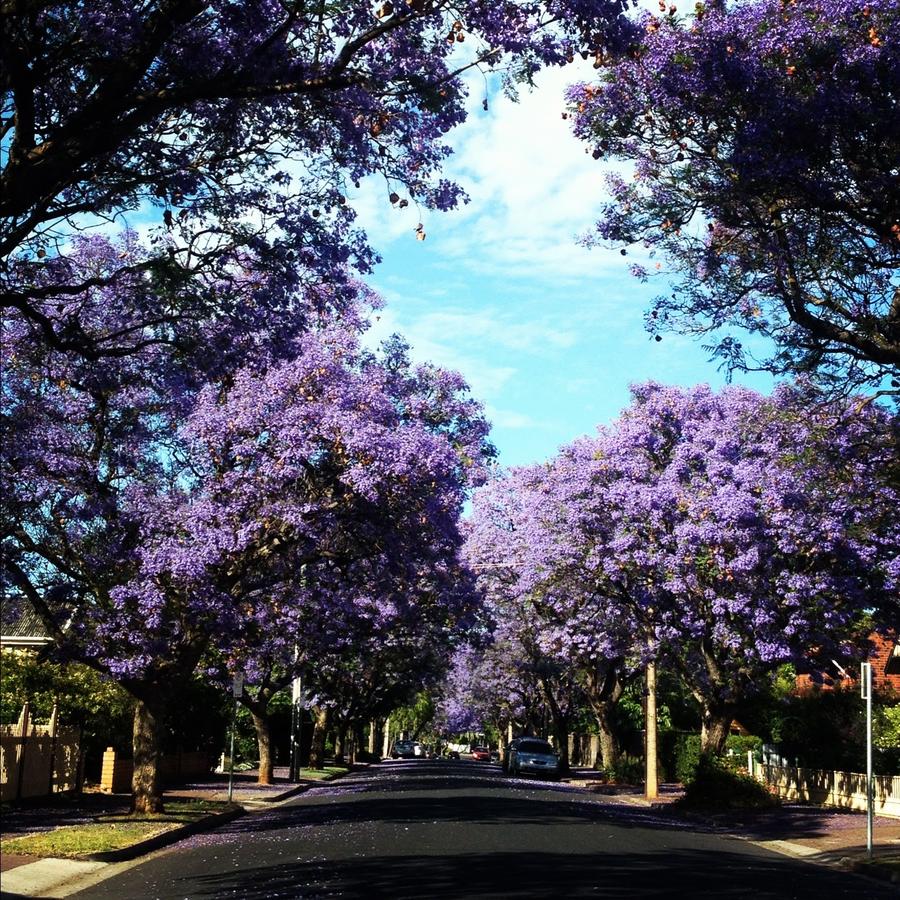 Goodwood SA Accommodation NT