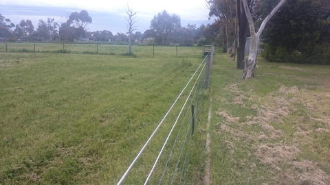 Gaerwood B&B - NT Tourism 17