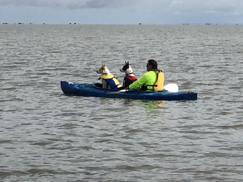 Hydeaway Bay - Own Private Bay + Kayaks - NT Tourism 31