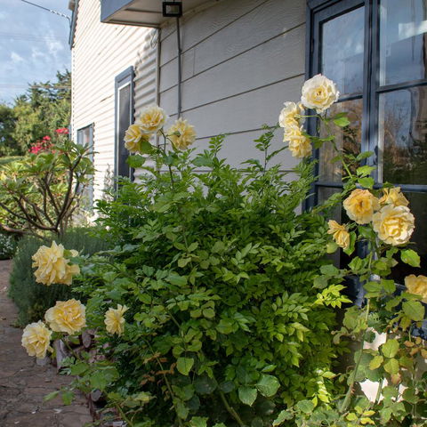 Haven Cottage Kangaroo Island - Accommodation NT 1