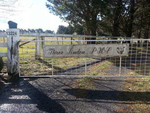 Three Linden - Accommodation NT 6