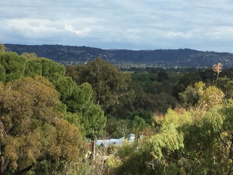 Tasha\'s Apartments On Warwick - Accommodation NT 33
