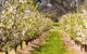 STUDIO ECHUNGA Adelaide Hills - thumb 18