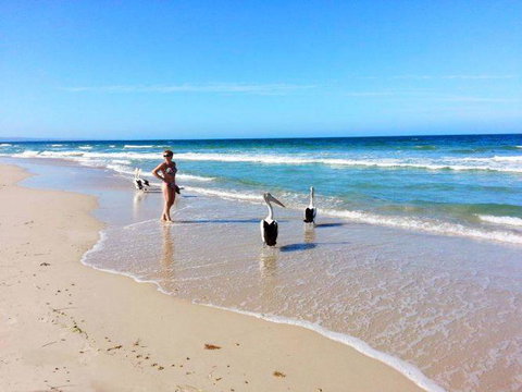 Atlantic West Beach Apartments - Accommodation NT 22