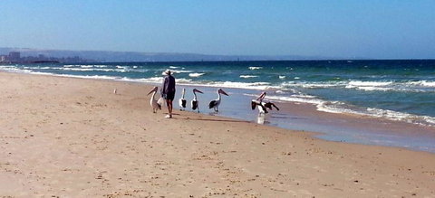 Atlantic West Beach Apartments - Accommodation NT 20