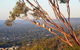 Kingsview Belair, Apartment Grand Views Of Adelaide - thumb 1