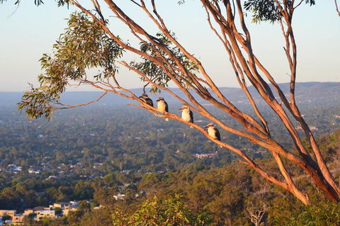 Kingsview Belair, Apartment Grand Views Of Adelaide - NT Tourism 1