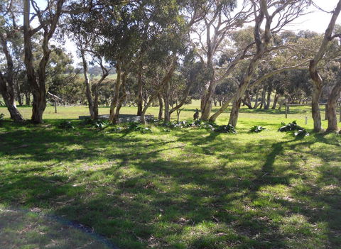 Wenton Farm Holiday Cottages - NT Tourism 1