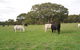 Wenton Farm Holiday Cottages - thumb 17