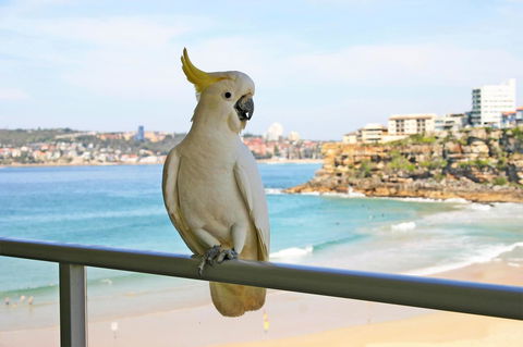 Beachfront Bliss - Accommodation NT 23