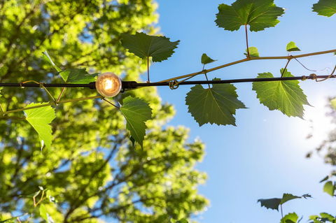 Adelaide Hills Retreats - NT Tourism 32