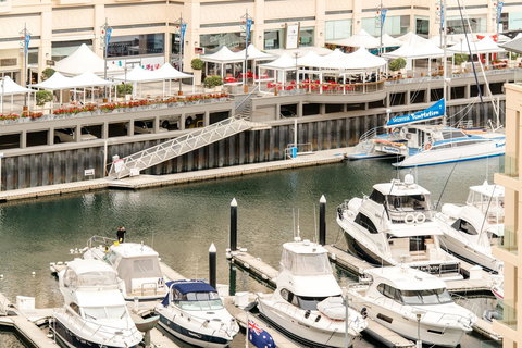 Beachside Luxury & Comfort, Ocean Views In Glenelg - Accommodation NT 6