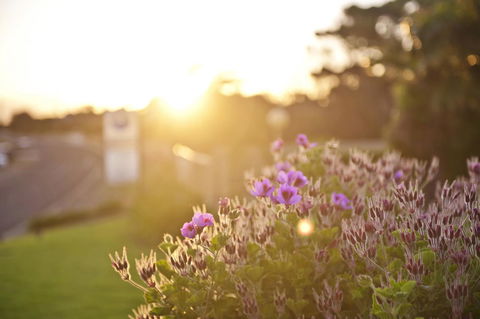 Kangaroo Island Seaside Inn - Accommodation NT 33