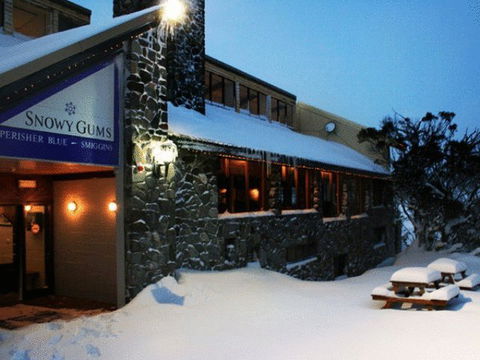 Snowy Gums Chalet - Accommodation NT 5