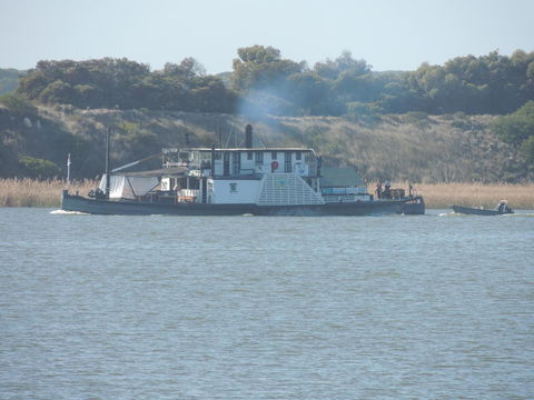 PS Federal Retreat Paddle Steamer Goolwa - NT Tourism 10