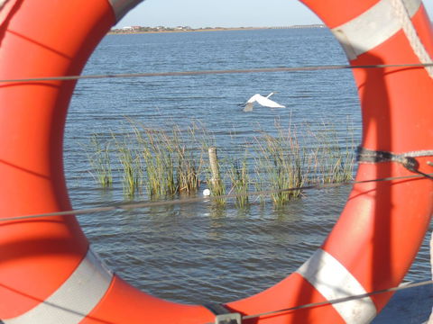 PS Federal Retreat Paddle Steamer Goolwa - NT Tourism 18