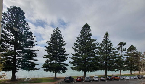 Pier Hotel Port Lincoln - Accommodation NT 12