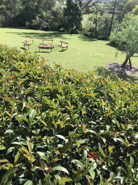 Avon View Stays Accommodation. - Accommodation NT 10