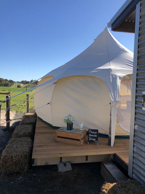 Bukirk Glamping & Fancy Coops - NT Tourism 11