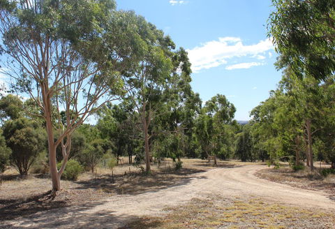 Windmill Cottage - NT Tourism 16