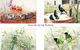 Windmill Cottage - thumb 14