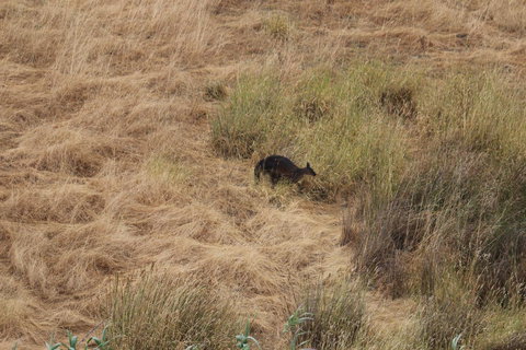 Middle River Beach House - East & West House - Accommodation NT 23