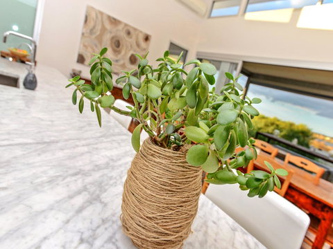 Muse On The Murray - Accommodation NT 25