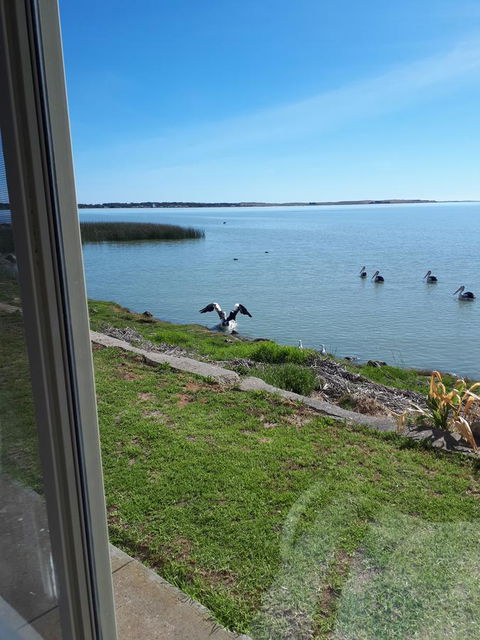 Meningie Waterfront Motel - NT Tourism 32