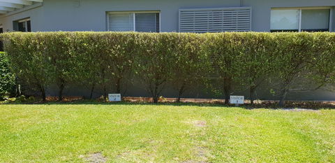 2 Austinmer Studio - Accommodation NT 12