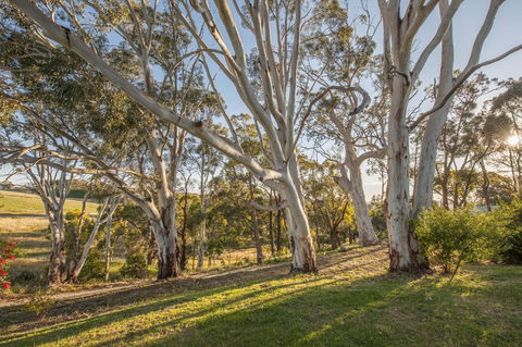 Discovery Parks - Hahndorf - NT Tourism 4