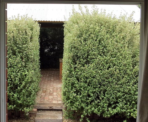 A2@Port Willy - Accommodation NT 13