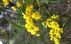 Clare Valley Cabins - thumb 31