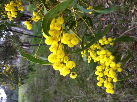 Clare Valley Cabins - NT Tourism 31