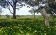 Clare Valley Cabins - thumb 14