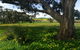 Clare Valley Cabins - thumb 21