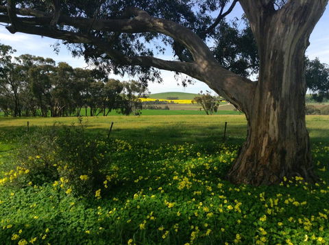 Clare Valley Cabins - NT Tourism 21