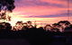 Clare Valley Cabins - thumb 8