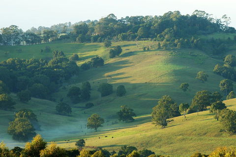 SummerHills Retreat Byron Bay - Accommodation NT 20