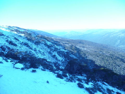 CHILL-OUT - Thredbo - Accommodation NT 39