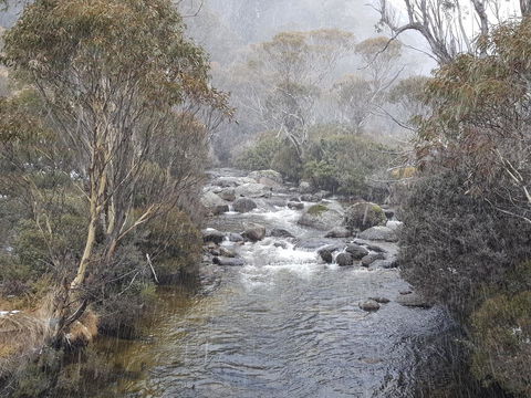 CHILL-OUT - Thredbo - Accommodation NT 23