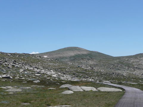 CHILL-OUT - Thredbo - Accommodation NT 20