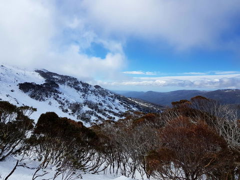 CHILL-OUT - Thredbo - Accommodation NT 28
